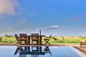 Best Time to Visit Amboseli National Park for an Unforgettable Safari Experience